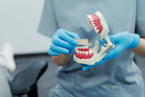 An image of dentist holding a teeth model