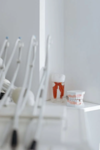 An image of a dental model on a white table