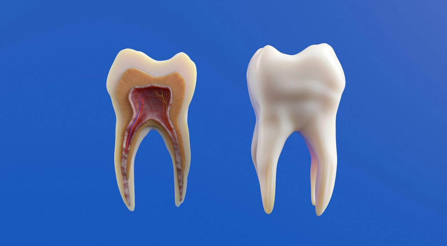 Read more about the article Fluoride Treatments for Kids and Adults: Are They Worth It?