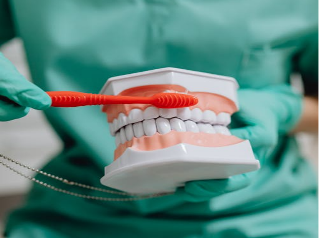 A dental professional in green scrubs demonstrating tooth brushing on a large dental model with a red toothbrush