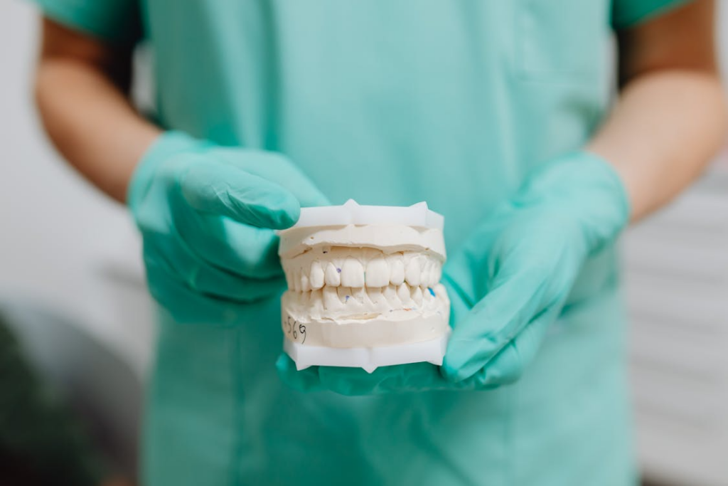 This photo shows a close-up of a dental cast